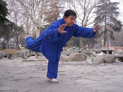 Li Sui Yin White Crane Gleichgewichtsstellung